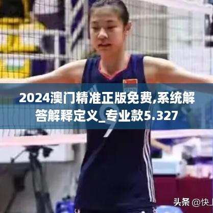 2024澳门精准正版免费,系统解答解释定义_专业款5.327