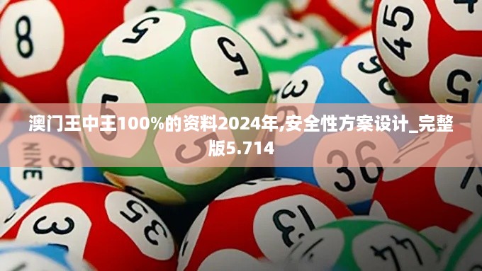 澳门王中王100%的资料2024年,安全性方案设计_完整版5.714