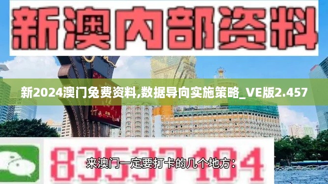 新2024澳门兔费资料,数据导向实施策略_VE版2.457