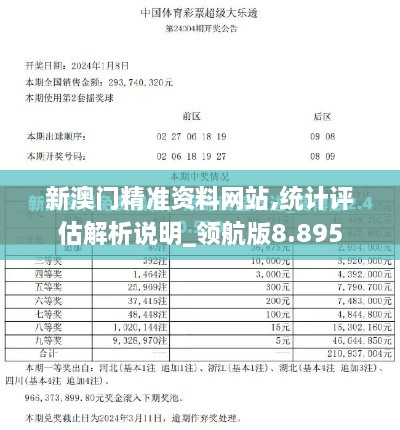 新澳门精准资料网站,统计评估解析说明_领航版8.895