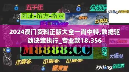 2024澳门资料正版大全一肖中特,数据驱动决策执行_专业款18.356