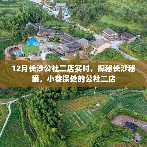 探秘长沙秘境，公社二店12月实时探访指南