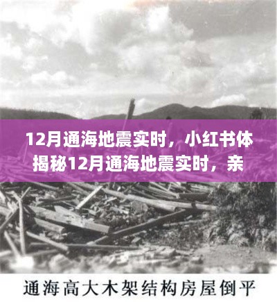 揭秘通海地震亲历者真实感受与应对策略，小红书实时更新地震动态！