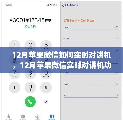 12月苹果微信实时对讲机功能使用指南，步骤详解与操作技巧