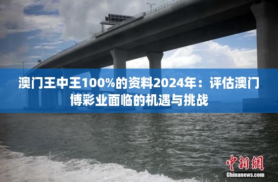 澳门王中王100%的资料2024年：评估澳门博彩业面临的机遇与挑战