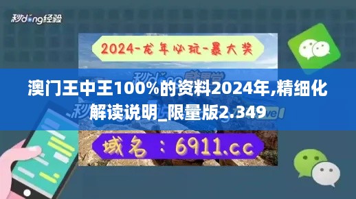 澳门王中王100%的资料2024年,精细化解读说明_限量版2.349