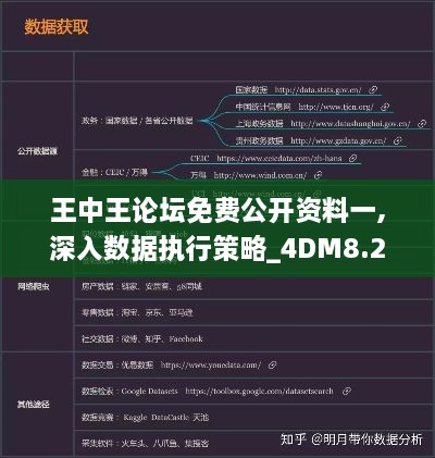 王中王论坛免费公开资料一,深入数据执行策略_4DM8.257