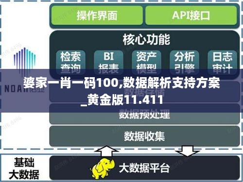 婆家一肖一码100,数据解析支持方案_黄金版11.411