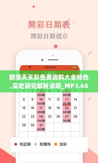 新澳天天彩免费资料大全特色,实地研究解析说明_MP3.689