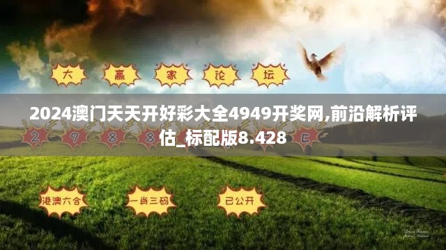 2024澳门天天开好彩大全4949开奖网,前沿解析评估_标配版8.428