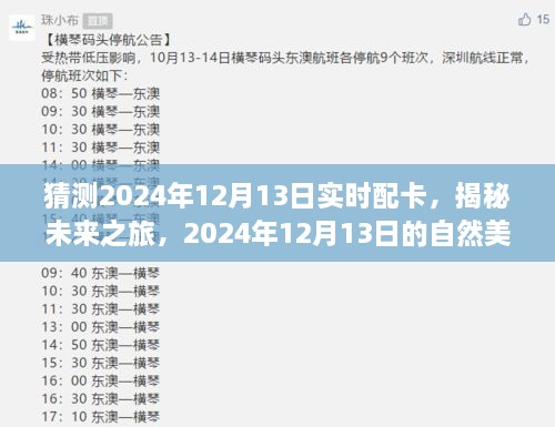 揭秘未来之旅，启程寻找内心的宁静与平和——2024年12月13日自然美景配卡猜想