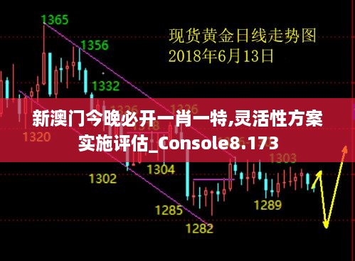 新澳门今晚必开一肖一特,灵活性方案实施评估_Console8.173