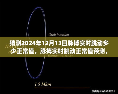 2024年12月13日脉搏实时跳动正常值预测与展望探讨