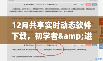 初学者与进阶用户适用的12月共享实时动态软件下载全攻略