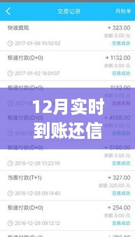 12月实时到账，高效管理信用卡欠款，轻松还信用卡