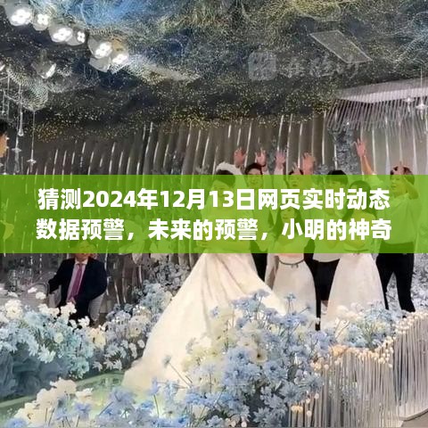 小明预测未来，神奇数据故事揭示2024年12月13日网页实时动态数据预警