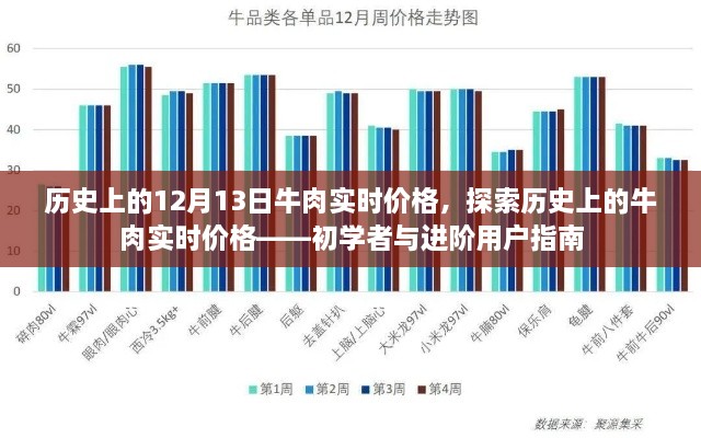 历史上的牛肉实时价格探索，从入门到进阶的指南