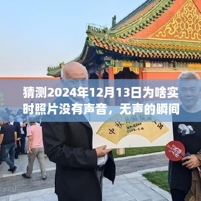 揭秘无声瞬间背后的故事，为何2024年实时照片无声开启学习与成长之旅？