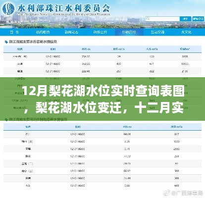 12月梨花湖水位实时数据图表，变迁与深远影响的观测报告