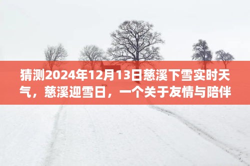 慈溪雪日温情，友情与陪伴的温馨故事，预测2024年12月13日实时天气