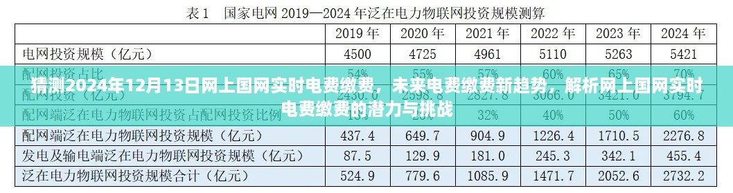 网上国网实时电费缴费趋势解析，潜力与挑战展望于2024年12月