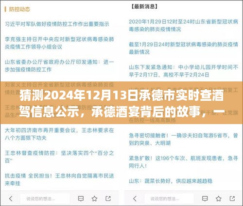 承德酒宴背后的故事，酒驾信息公示探秘之旅（猜测2024年12月13日承德市实时查酒驾信息公示）