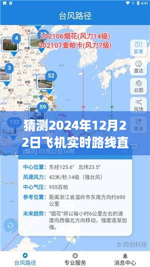 2024年飞机实时路线直播平台设想与争议，直播未来的可能性探讨