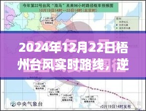 台风中的自信与成长之路，梧州台风实时路线追踪（2024年12月22日）