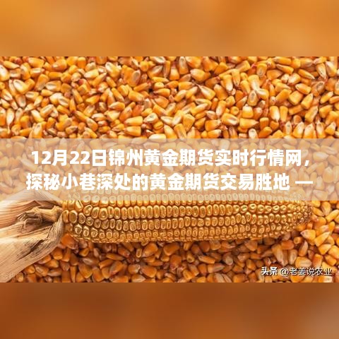 锦州黄金期货行情馆，12月22日实时行情分析与探秘交易胜地