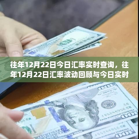 往年12月22日汇率回顾与实时查询指南，洞悉汇率波动，轻松掌握今日汇率