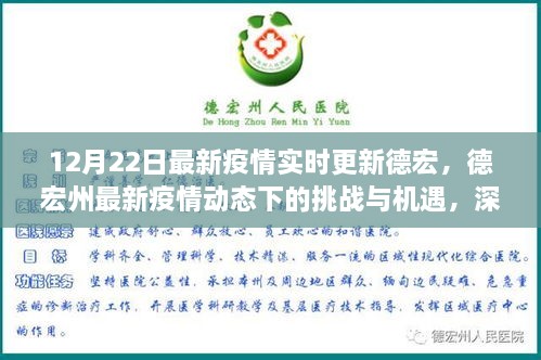 德宏州最新疫情动态下的挑战与机遇深度解析，实时更新与观点阐述