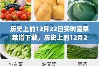 历史上的12月22日实时蔬菜菜谱下载，价值探讨与观点论述