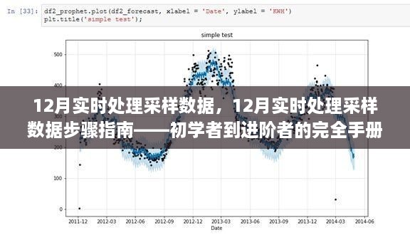 从新手到高手，12月实时处理采样数据的完全指南与步骤解析