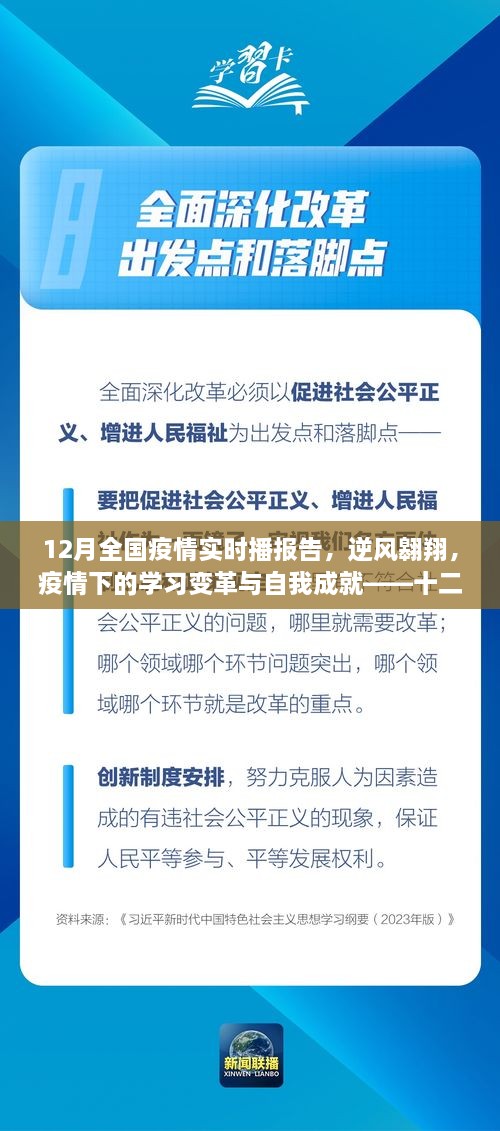 十二月全国疫情实时播报报告，逆风翱翔，学习变革与自我成就之路