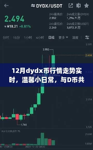 12月dydx币行情下的快乐时光，实时走势与温馨日常