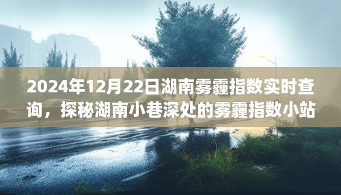 探秘湖南小巷深处，雾霾指数小站实时查询之旅（2024年12月22日）