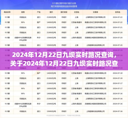 2024年12月22日九坝实时路况全面解析与查询