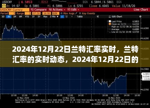 2024年12月22日兰特汇率实时动态回顾与影响