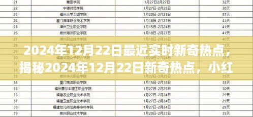 小红书揭秘，2024年12月22日新奇热点大揭秘，最新资讯一网打尽