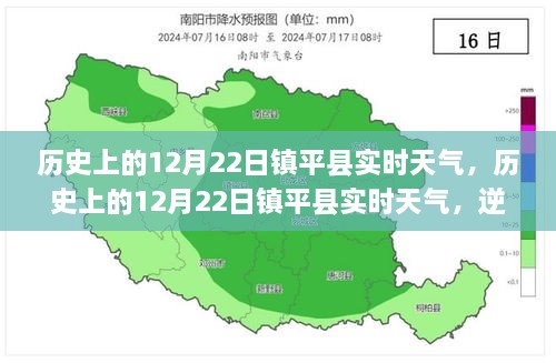 2024年12月25日 第14页