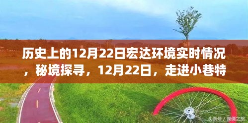 秘境探寻，宏达环境下的宏大环境之旅——历史上的12月22日实时记录