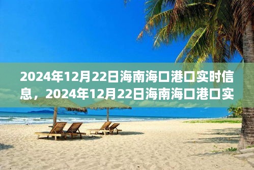 2024年12月22日海南海口港口实时信息全解析，小红书带你掌握最新动态