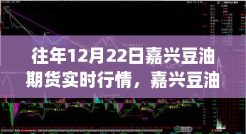 往年12月22日嘉兴豆油期货行情回顾，温情时光与期货市场的奇妙交汇