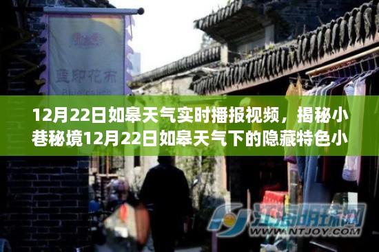 揭秘如皋小巷秘境，特色小店与12月22日天气实时播报视频