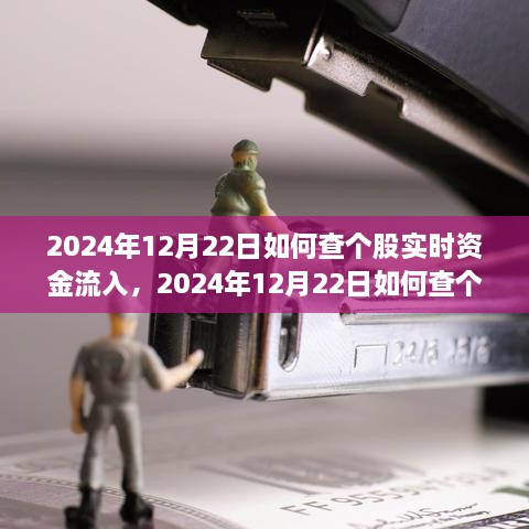 多维度解析与观点探讨，如何查询个股实时资金流入——以2024年12月22日为例