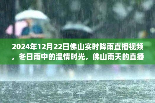 温情时光与友情故事，佛山雨天直播实录，实时降雨直播视频