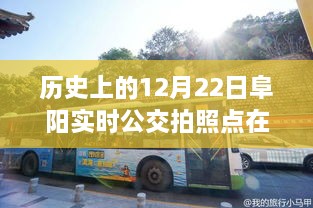 历史上的12月22日阜阳公交之旅，探寻实时公交拍照点，寻找心灵的宁静与自然的馈赠