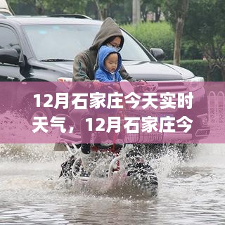 石家庄今日深度解析与体验分享，实时天气报告（12月版）