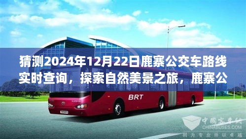 鹿寨公交路线新探秘，启程2024年12月22日，探寻自然美景之旅实时查询