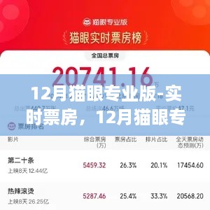 12月猫眼专业版实时票房解析，电影市场深度洞察